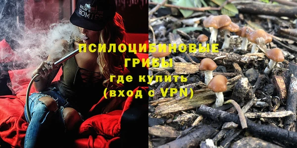 гашик Балабаново